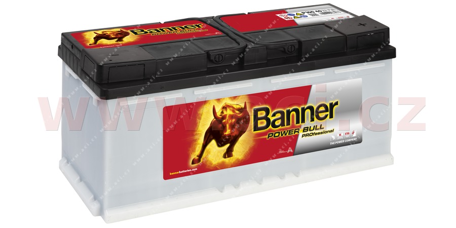 100Ah baterie 800A, prav BANNER POWER BULL PROfessional 354x175